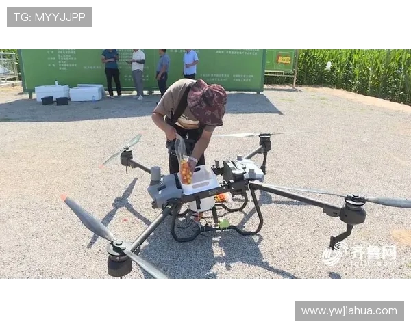 鹰伯尔多功能训练器：小空间的大能量场